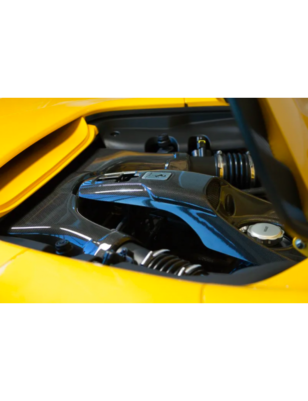 Capristo Carbon Airbox-Oberteil und Schlossabdeckung für Ferrari 48