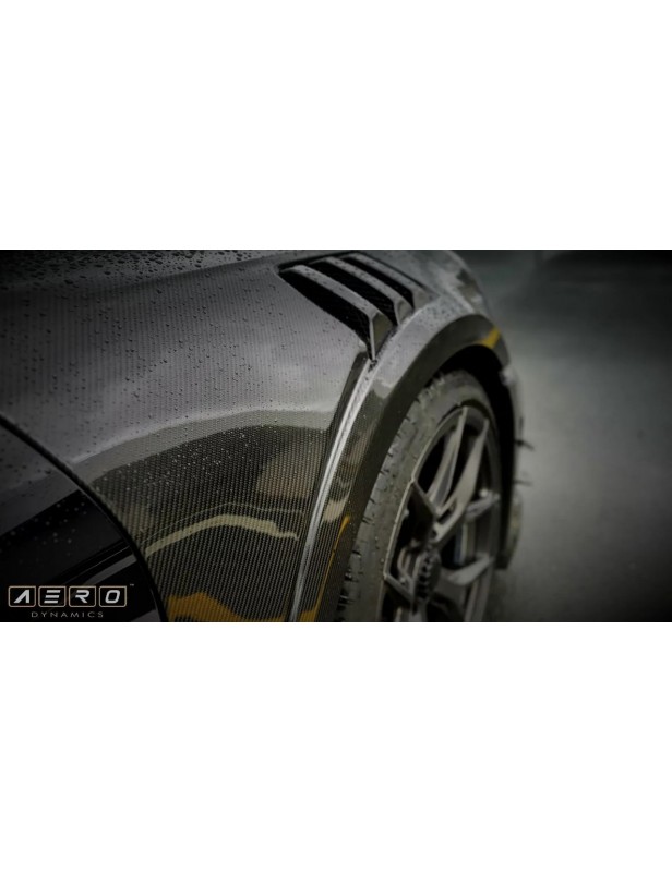 AERO DYNAMICS Carbon Kotflügel für Porsche 911 Carrera (992) / S / GTS / TURBO / GT3 AERO DYNAMICS GT3, 375 kW / 510 PS