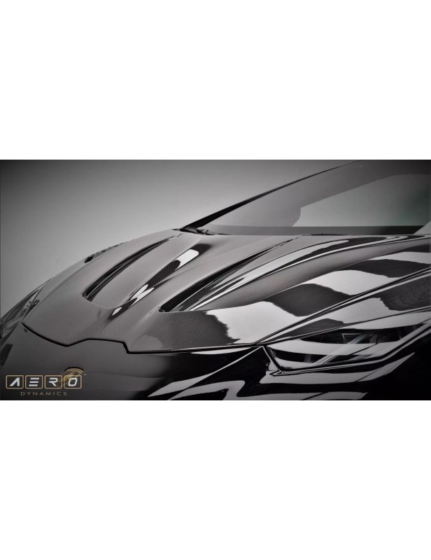 AERO DYNAMICS Carbon Fronthaube Kofferraumdeckel für Lamborghini Huracan AERO DYNAMICS Performante, 470 KW / 640 PS