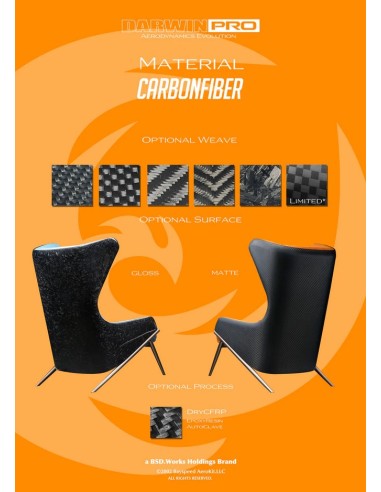 DarwinPro Aerodynamic Carbon Lounge Sessel "SUEDE" - 1x1 WEAVE CARBON DARWIN PRO Furniture