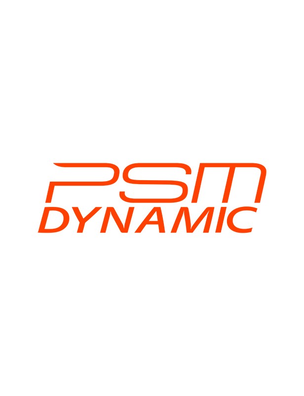 PSM Dynamic Carbon Heckschürzen Begrenzung für McLaren 570S PSM DYNAMIC 540C / 570S