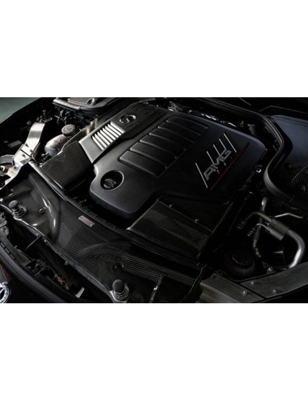 ARMA Speed Carbon Ansaugsystem für Mercedes Benz CLS53 AMG / E53 AM